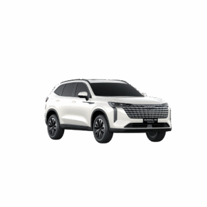 Haval H6 PHEV19